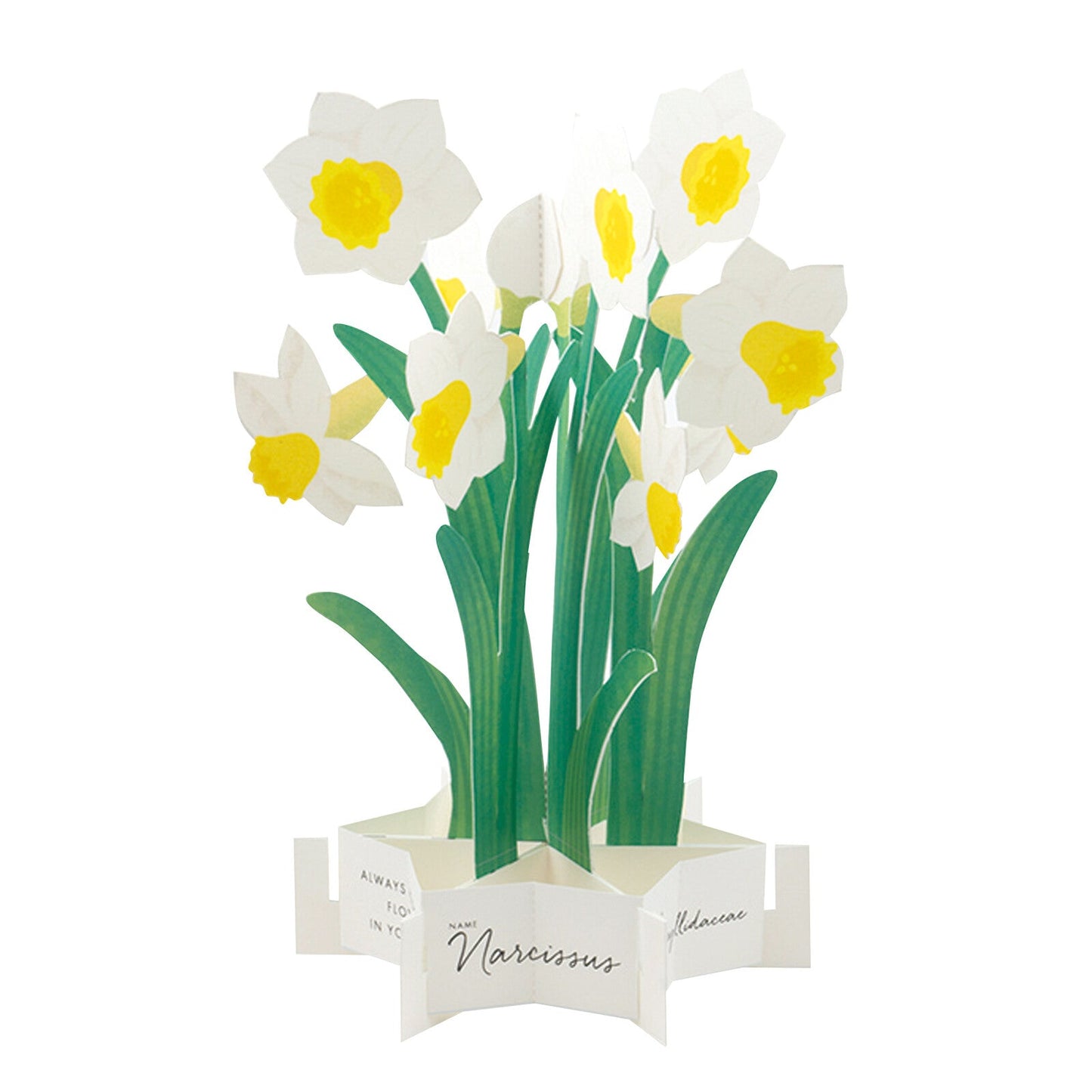 Blooming Card / Daffodil - Note and Nib