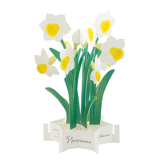 Blooming Card / Daffodil - Note and Nib