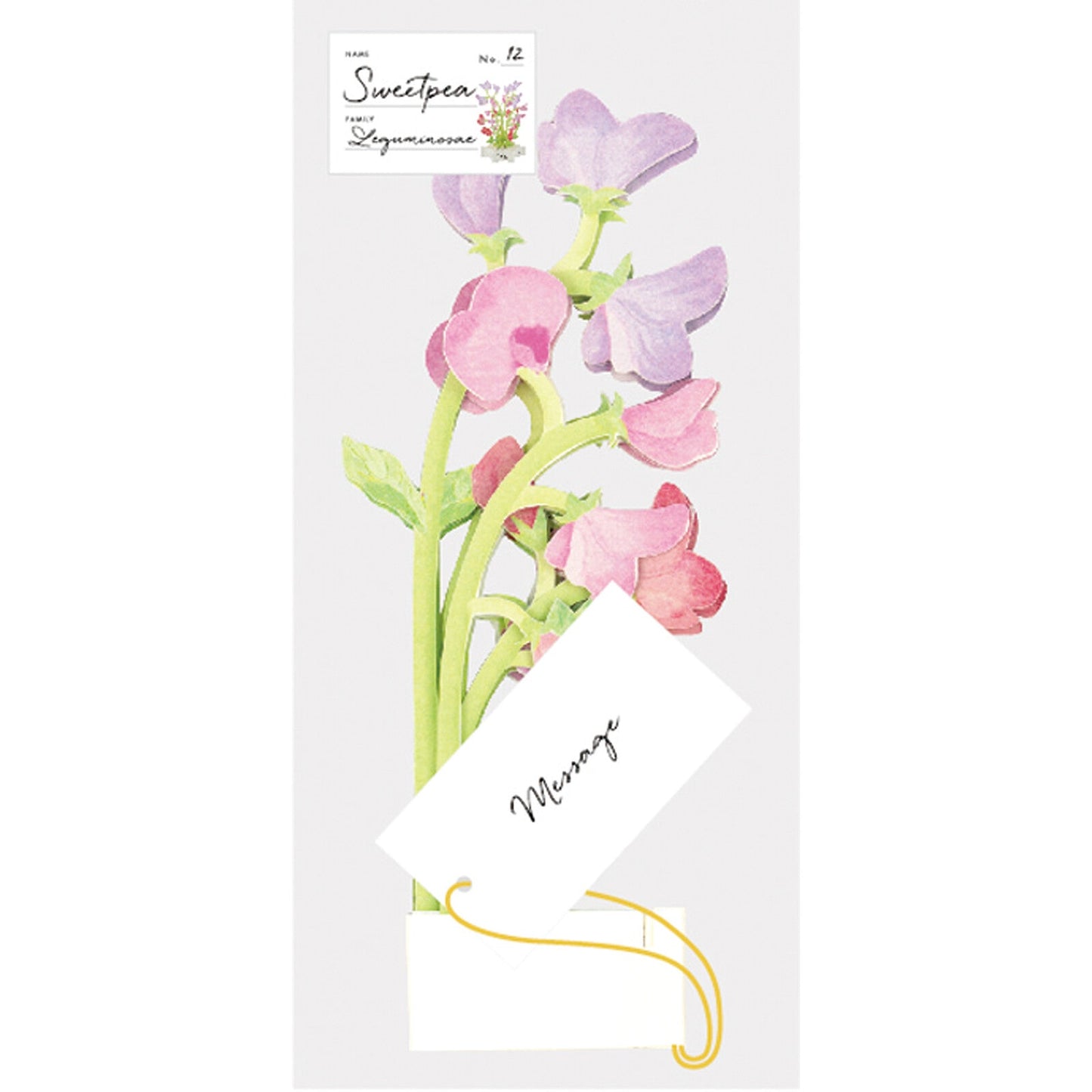 Blooming Card / Sweet Pea - Note and Nib
