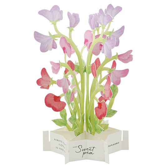 Blooming Card / Sweet Pea - Note and Nib