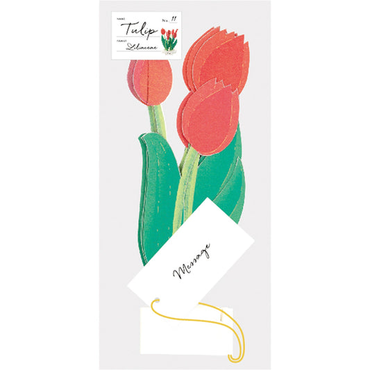 Blooming Card / Tulip - Note and Nib