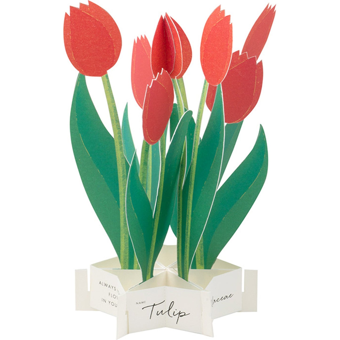 Blooming Card / Tulip - Note and Nib