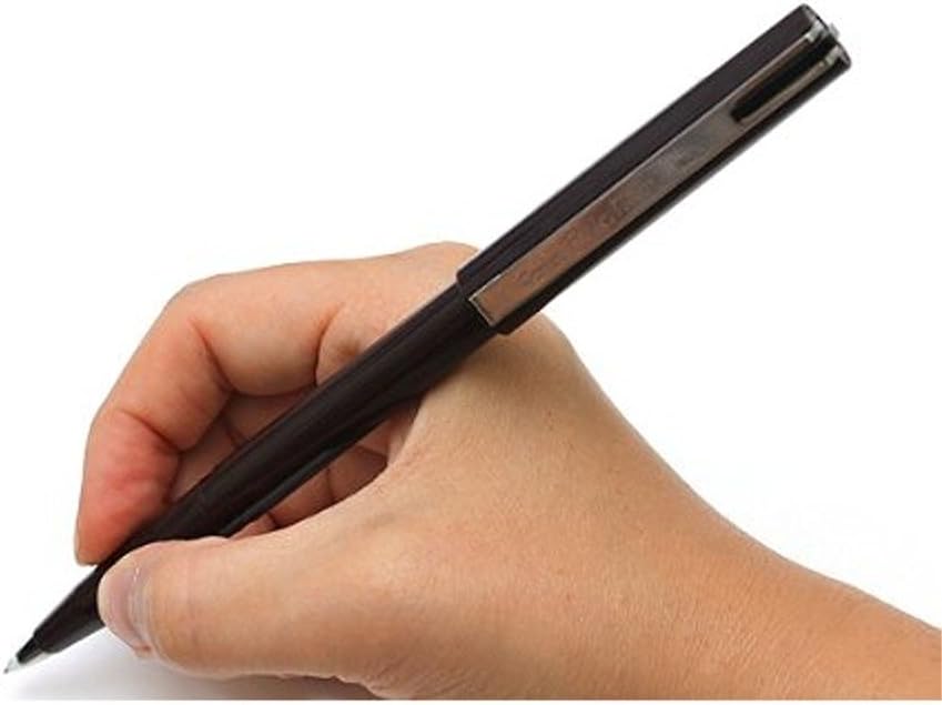 Pentel Pulaman Fountain Pen - Note and Nib