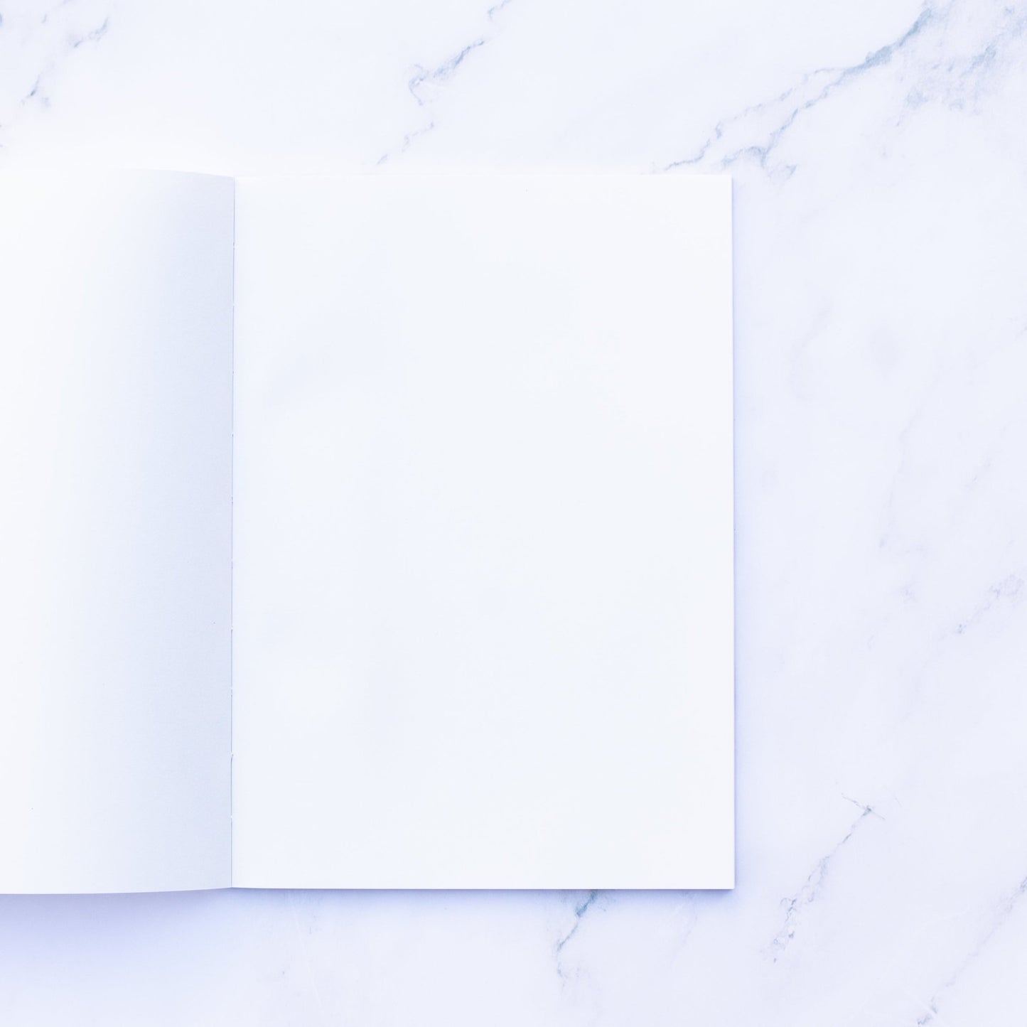 TomoeRiver Notebook by Sakae Technical Paper - Note and Nib