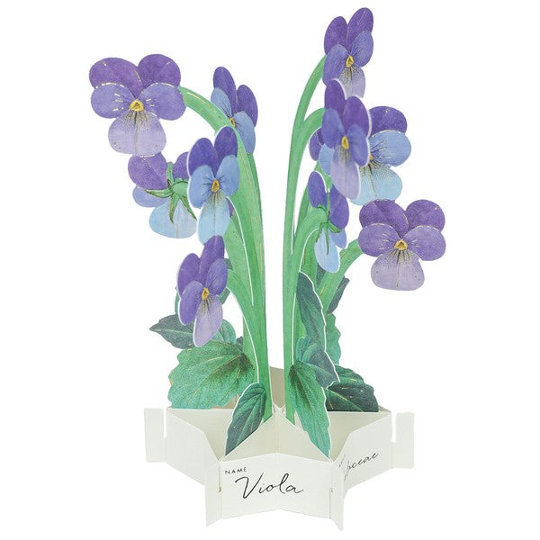 Greeting Card