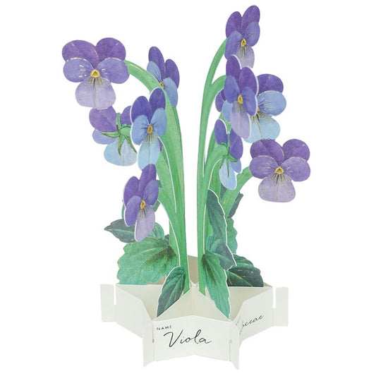 Greeting Card