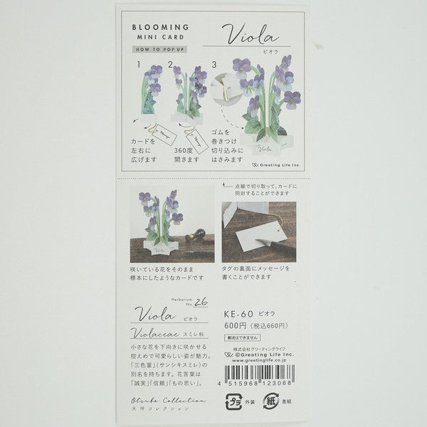 Greeting Card