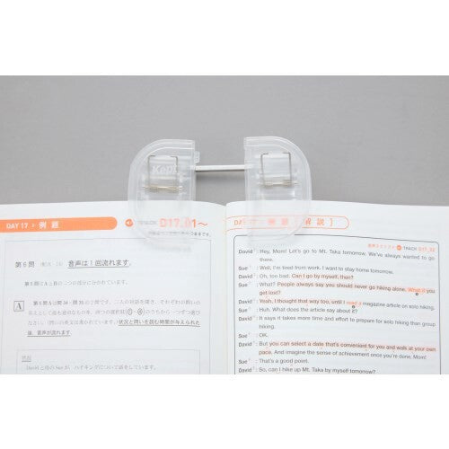 File [New Item] Kept Raymay Fujii