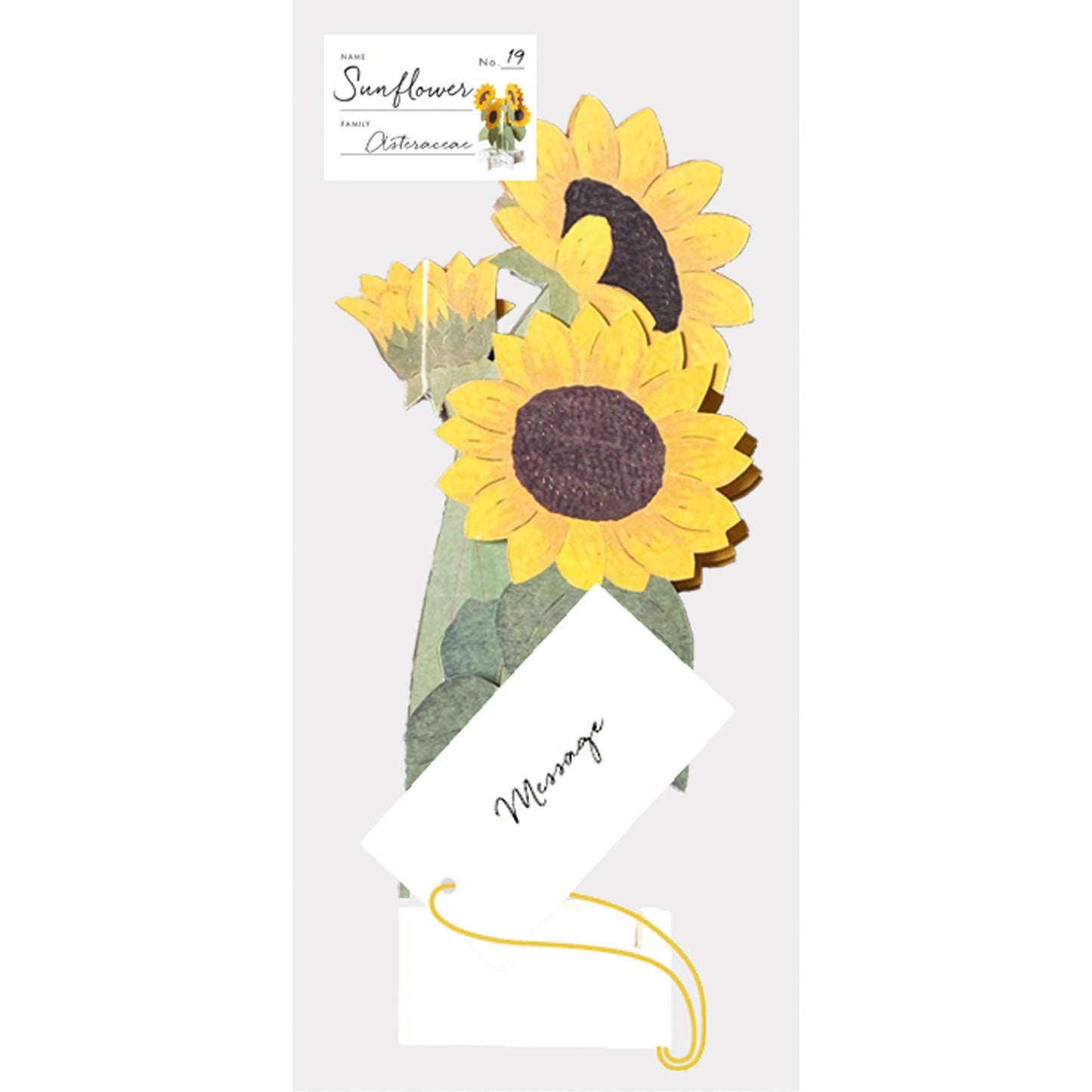 Blooming Card / Sunflower - Note and Nib