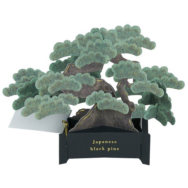 Greeting Card Bonsai - Note and Nib