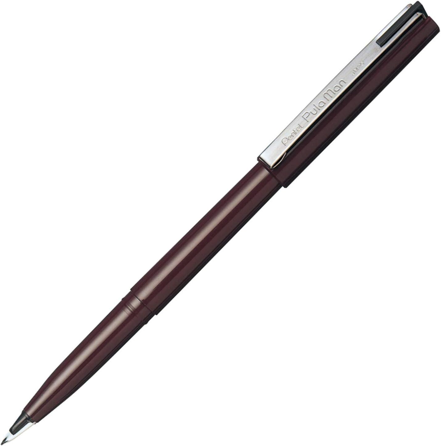 Pentel Pulaman Fountain Pen - Note and Nib